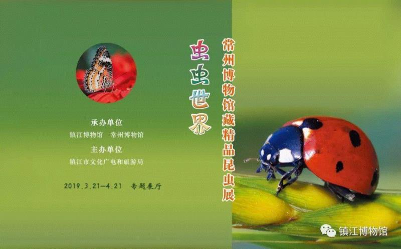 【江浙沪】4月份有什么好看的展览？（第3期）,江浙沪,书画,文物,明清,绘画,龙美术馆,六朝,浙江,建筑,纸币