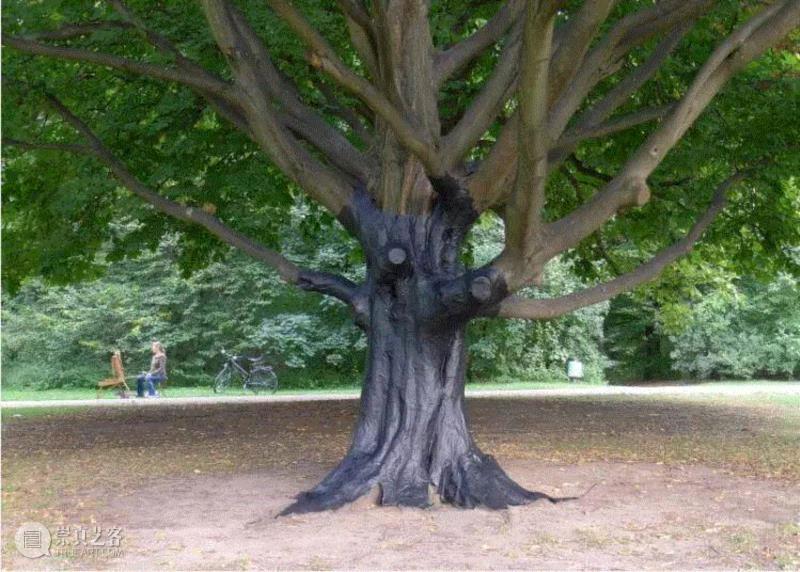 photograph of the making of tree trap, berlin 2012,同行/被失语的微观历史 | Mariana Castillo Deball,同行,Deball,视频,Mariana,墨西哥城,考古学,民族,博物馆,卡塞尔文献展,徐震