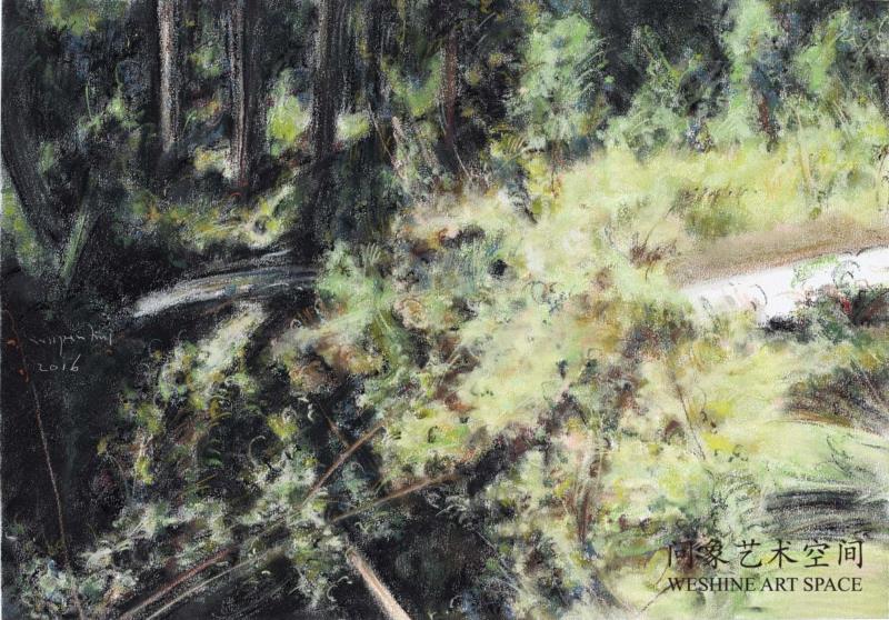纸上色粉 52x37.5cm  2016 ,十七张画——兀鹏辉个展,油彩,绘画,丛林,板面,宿命,书店,江苏省,南京市,石头城路69号,Unit