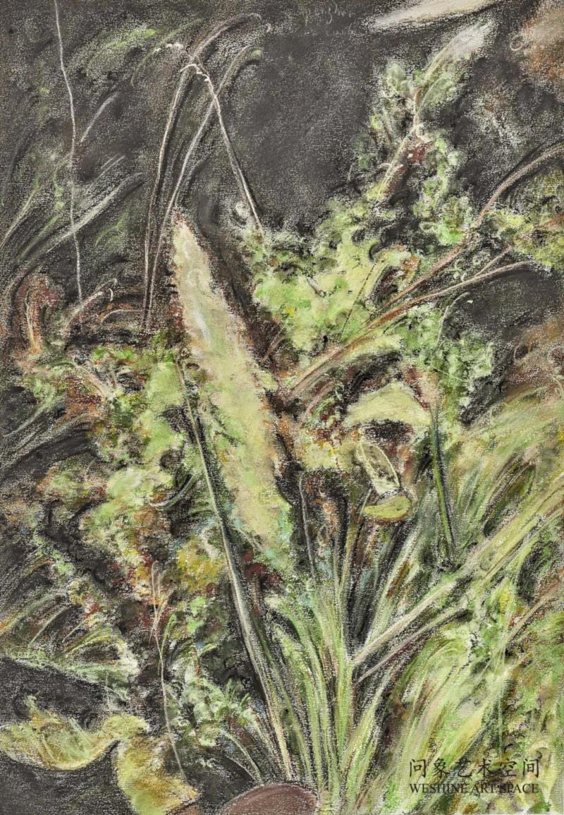  纸上色粉 52x37.5cm  2016 ,十七张画——兀鹏辉个展,油彩,绘画,丛林,板面,宿命,书店,江苏省,南京市,石头城路69号,Unit