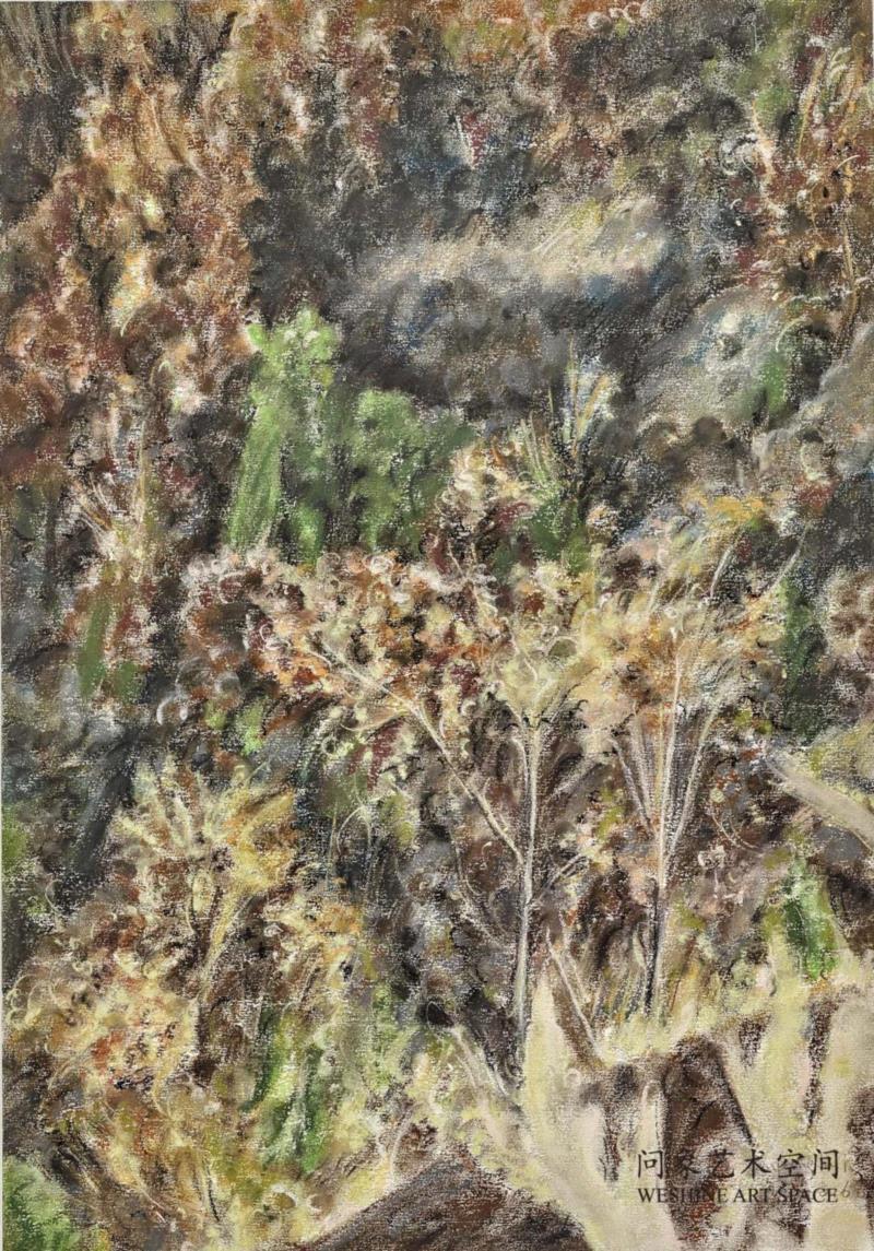  纸上色粉 52x37.5cm  2016 ,十七张画——兀鹏辉个展,油彩,绘画,丛林,板面,宿命,书店,江苏省,南京市,石头城路69号,Unit