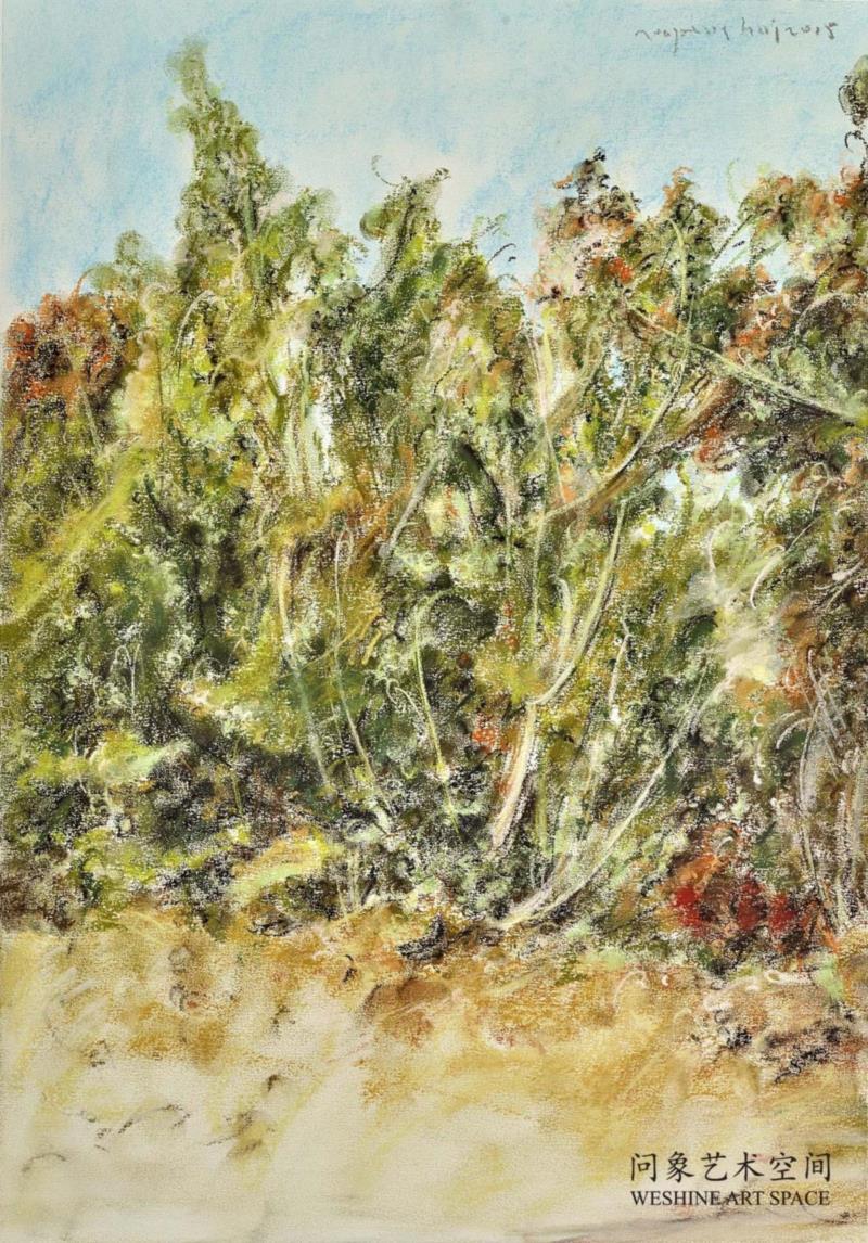  纸上色粉 52x37.5cm  2015 ,十七张画——兀鹏辉个展,油彩,绘画,丛林,板面,宿命,书店,江苏省,南京市,石头城路69号,Unit