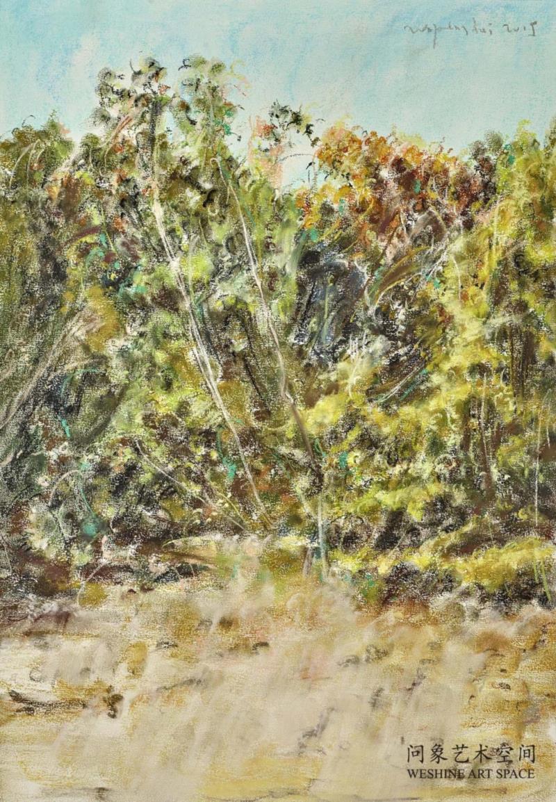 纸上色粉 52x37.5cm  2015,十七张画——兀鹏辉个展,油彩,绘画,丛林,板面,宿命,书店,江苏省,南京市,石头城路69号,Unit