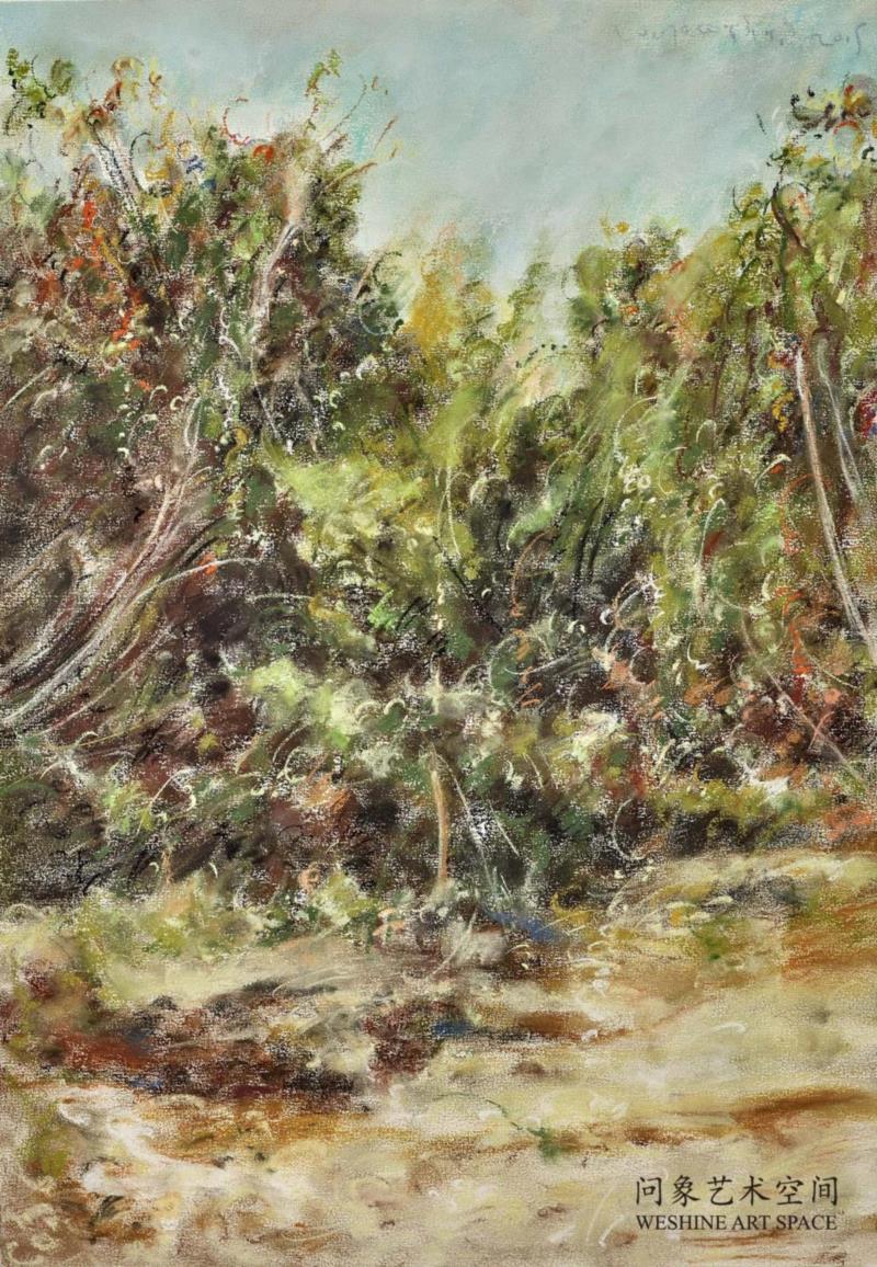 纸上色粉 52x37.5cm  2015,十七张画——兀鹏辉个展,油彩,绘画,丛林,板面,宿命,书店,江苏省,南京市,石头城路69号,Unit