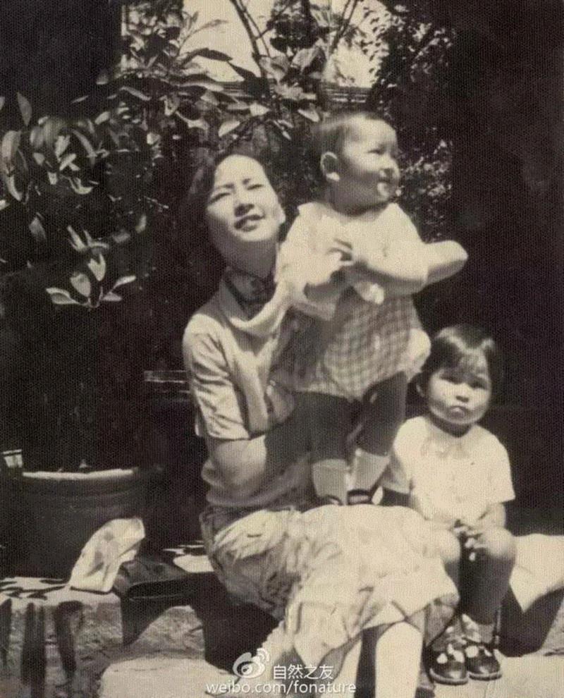 人物 ▎林徽因儿子：我们三代人都是失败者,林徽因,儿子,三代人,人物,失败者,梁从诫,自然之友,梁思成,知识分子,父亲