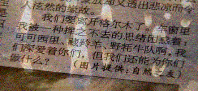 人物 ▎林徽因儿子：我们三代人都是失败者,林徽因,儿子,三代人,人物,失败者,梁从诫,自然之友,梁思成,知识分子,父亲
