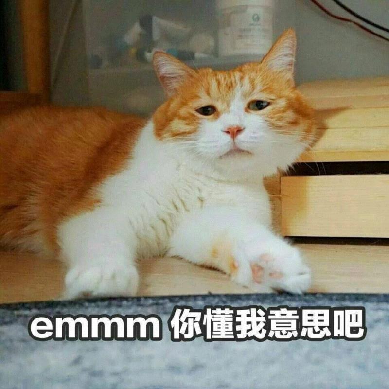 简直不敢相信,这些画画神器便宜到不行,还都藏在客厅厨房卧室卫生间里!,神器,客厅,卧室,厨房,卫生间,小志,颜料,保鲜膜,工具,纸巾