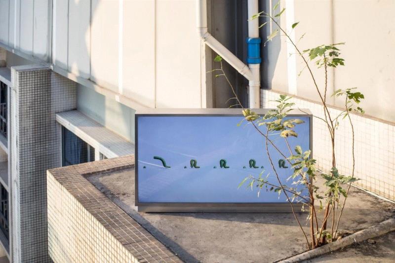 《走着走着》Walking, Walking,时代艺术中心（柏林）新展预告 | 阚萱：乱石赛跑,柏林,乱石,新展,阚萱,录像,广东时代美术馆,商业,景观,谭悦,奇途