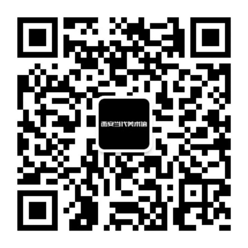 公共教育 | 西安文理学院艺术学院现场教学,西安文理学院艺术学院,西安当代美术馆,丝路,西部,双年展,com,公交车,雁南路站,大一,课程