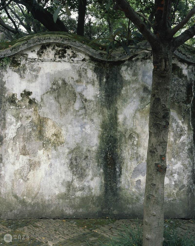 埃莱娜·比奈，《拙政园，苏州园林，中国》，2018，数码C-Type，80×102cm。艺术家供图。,与光共舞 | 埃莱娜 · 比奈三十年建筑摄影对话首展,埃莱娜,建筑,首展,比奈,摄影师,数码,苏州园林,安曼,建筑师,瑞士