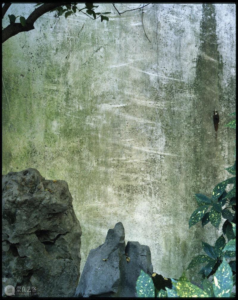 埃莱娜·比奈，《留园，苏州园林，中国》，2018，数码C-Type，80×102cm。艺术家供图。致