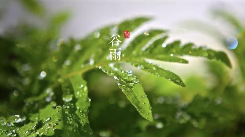 【中华艺术宫 | 活动】谷雨 · 种子日记：一粒种子的神奇之旅 4/20（周六）,中华艺术宫,日记,种子,终身,市民,讲师,站点,子日,戴胜,庄稼
