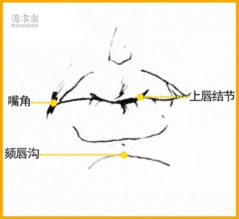 速写中的【鼻子与嘴】，要从结构理解！,鼻孔,软骨,鼻翼,嘴唇,上唇,嘴角,中间,形体,要点,画法