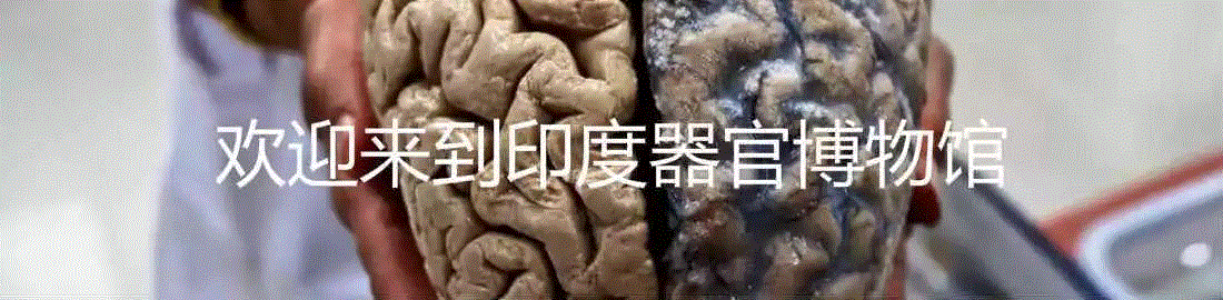 印度的“眉间一点红”是什么意思？,印度,眉间,宾迪,女性,图源,额头,风俗,装饰,Wikipedia,新娘