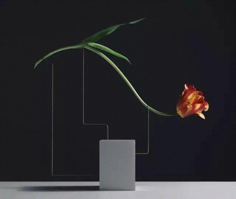“姿势”（Postures）是克莱纳以花为主体创作的一组摄影作品。他用细线为郁金香造型，然后将它们放