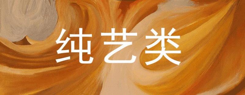 史上最全美术专业分析，和2019年承认联考成绩的985/211院校汇总，考生及家长必看！,考生,家长,省份,山东,湖南,河北,河南,江苏,安徽,视觉传达设计