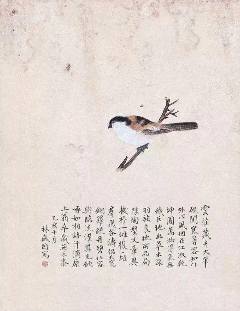 文艺 ▎林徽因的字让你明白，书法是另一种颜值,林徽因,书法,颜值,梁思成,李成江,村秋晚,梁思懿,周念慈,才情,扇面