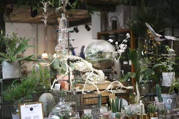 Workshop：气味美术馆——香氛设计| AMNUA公教,香氛,Workshop,美术馆,AMNU,公教,植物,香气,精油,行星,国际芳香疗法治疗师协会