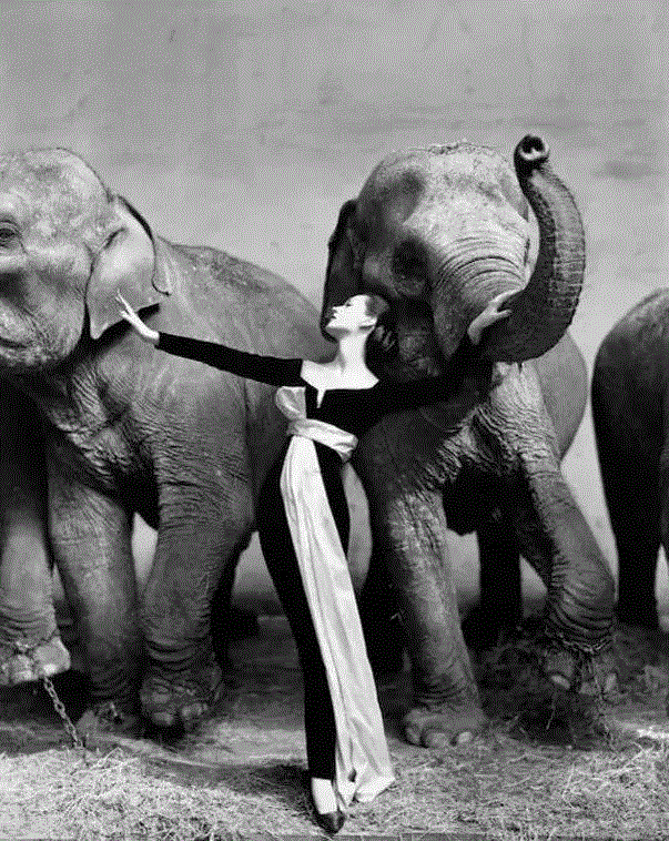 Photo by  Richard Avedon,100幅经典的女性黑白照，每一幅都美得令人心醉,女性,黑白照,Ins,光影,眼神,黑色,Penn,摄影师,Oszvald,轮廓