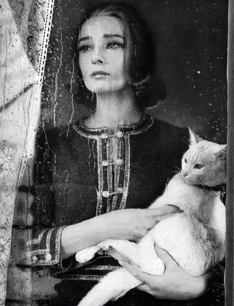 Photo by Richard Avedon,100幅经典的女性黑白照，每一幅都美得令人心醉,女性,黑白照,Ins,光影,眼神,黑色,Penn,摄影师,Oszvald,轮廓