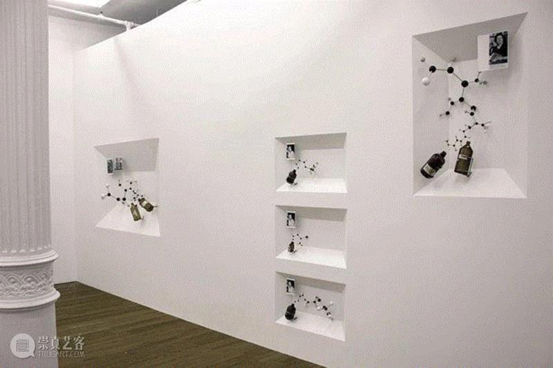 Voodoo Justice for People of Finance, 2013,同行/情景发生器 | James Beckett,Beckett,同行,发生器,视频,装置,历史性,传记,Palace,Couplings,双年展