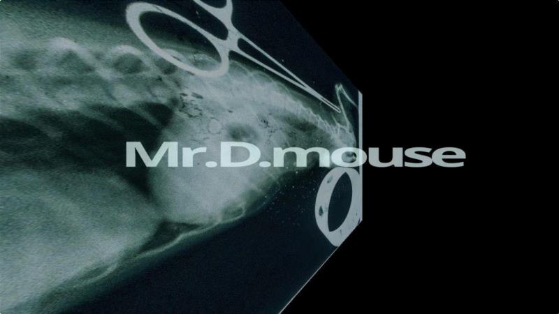 ▲Mr.D.mouse   kikivivi 1 ,庆祝建国70周年系列展 | 江汉繁星计划（第六回）：天桥——交叉的经验,江汉,繁星计划,天桥,系列展,武汉美术馆,孙晓枫,水墨,美术馆,纸本,策展人