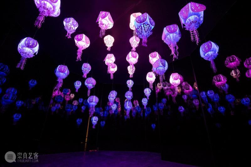 寓教于乐，观展同时了解海洋知识,“深蓝之境”沉浸式海洋互动展，首站上海,环保,海洋,沉浸式,互动展,沉浸式体验互动展