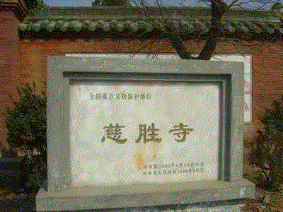五一游学丨遂忆洛阳花——洛阳访古之旅(4月30日—5月04日),洛阳,游学丨,文物,慈胜寺,石窟,龙门石窟,曹魏,洛阳博物馆,寺院,墓葬