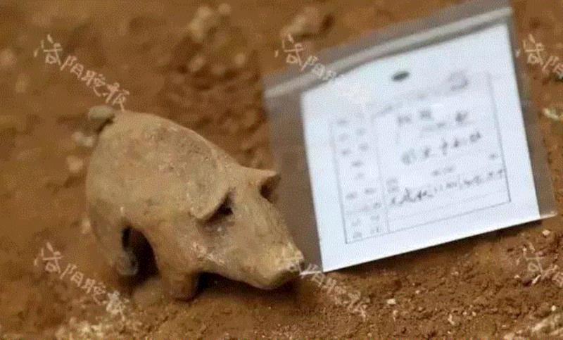▲出土的石碑,五一游学丨遂忆洛阳花——洛阳访古之旅（4月30日—5月04日）,洛阳,游学丨,文物,慈胜寺,石窟,龙门石窟,曹魏,洛阳博物馆,寺院,墓葬