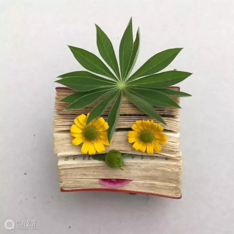 创意丨“辣鸡”艺术家了解一下!,庞门,正道,附近,淘宝,海滩,叶子,小朋友,上方,右上,游客们