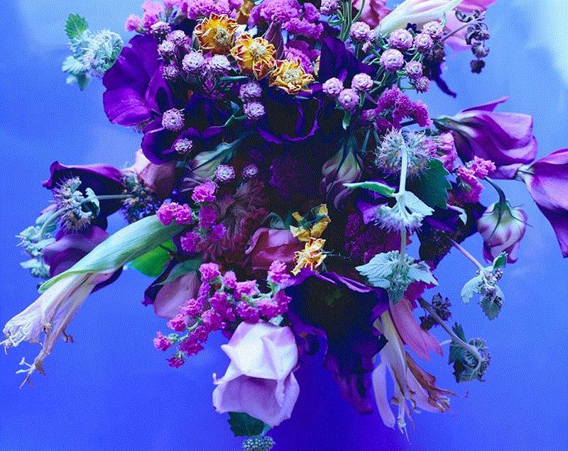 荒木经惟·花幽 Coming Soon丨AMNUA 展讯,展讯,荒木经惟,花幽,Soon丨AMNUA,AMNUA,本尾,阳子,电通,陈瑞,李弋迪