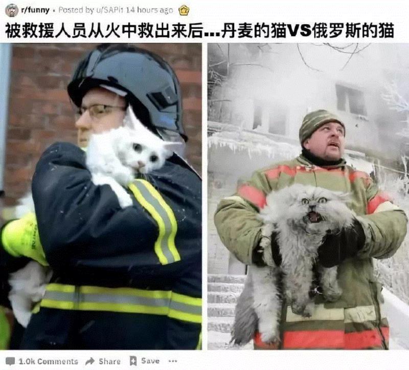 战斗民族的 “变态”日常，又作出了新花样：哈哈哈哈哈哈哈······,新花样,变态,民族,俄罗斯,劫匪,战斗力,硬核,战机,醉汉,实力