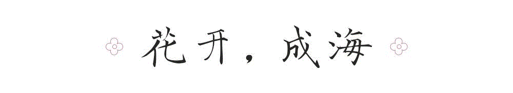 当无锡鼋头渚与武汉大学的樱花，在游人如织中争奇斗艳时，青岛中山公园的樱花，早已开成了“东海花海”；,游春，中國。,游春,樱花,春色,田园,油菜,霞浦,花开成海,安徽,攀枝花,土地上