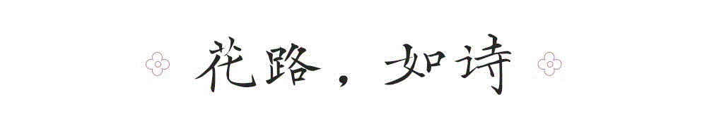 你说起那条回家的路，,游春，中國。,游春,樱花,春色,田园,油菜,霞浦,花开成海,安徽,攀枝花,土地上