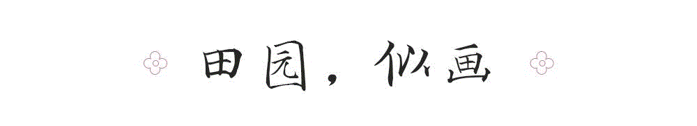 当云南元阳的梯田，在大山间铺出层层叠叠的水面，映天映水映斜阳时，江浙一带的茶山上，歌声四起，漫山飘起