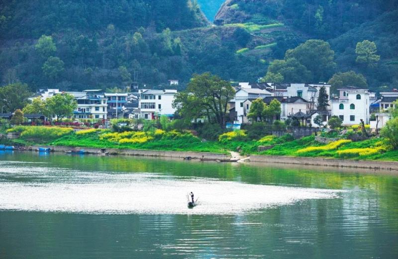 游春，中國。,游春,樱花,春色,田园,油菜,霞浦,花开成海,安徽,攀枝花,土地上