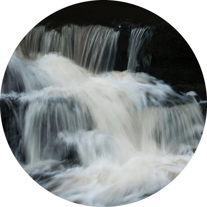 丹尼尔·埃斯卡纳齐 Daniel Eskenazi,明日开幕| 【我自然 With Nature】4.6-5.26