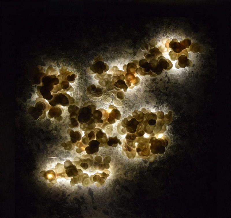 赵梦 Zhao Meng,明日开幕| 【我自然 With Nature】4.6-5.26