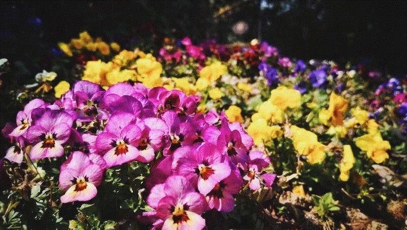 美博艺术中心 | 清明时节雨纷纷,时节,美博艺术中心,祖先,节日,节气,节令,上古,干支,历法,郊外