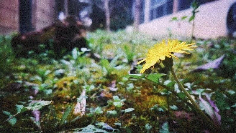 美博艺术中心 | 清明时节雨纷纷,时节,美博艺术中心,祖先,节日,节气,节令,上古,干支,历法,郊外