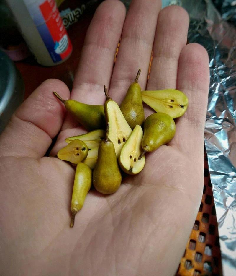 超精致的微型模型，猜猜是做什么的？