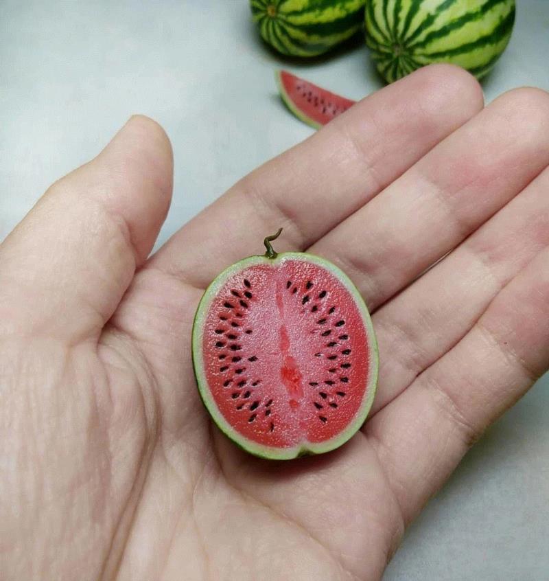 超精致的微型模型，猜猜是做什么的？
