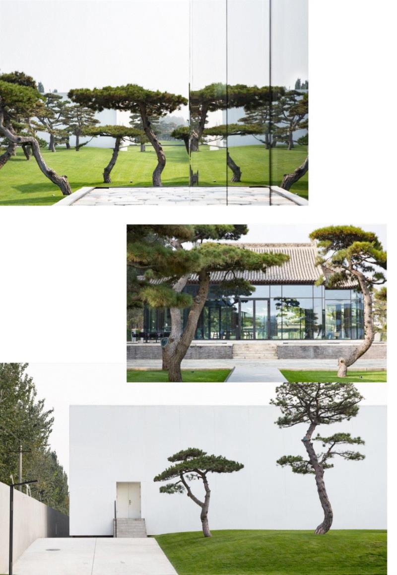 春日小长假给你10个来「松」的理由,长假,妈妈,松美术馆,车位,家门口,布尔乔亚,地点,庭院,观展,美术馆