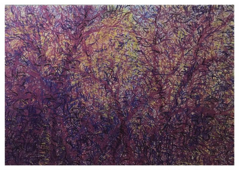 《树杪有嫣红1》,展讯 | 伏脉千里——青年版画家创作交流展,青年,展讯,交流展,版画,湖北美术馆,纸本,木刻,绘画,铜版,蔡远河
