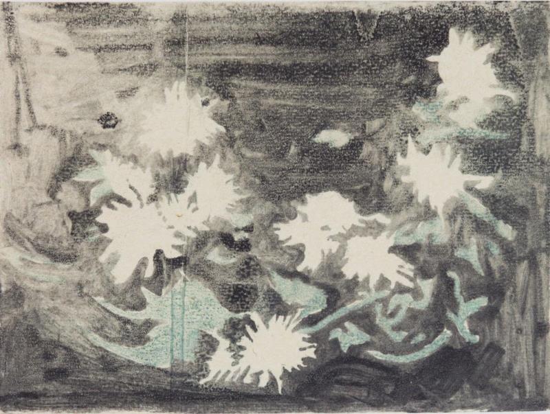 《十三朵白菊》,展讯 | 伏脉千里——青年版画家创作交流展,青年,展讯,交流展,版画,湖北美术馆,纸本,木刻,绘画,铜版,蔡远河