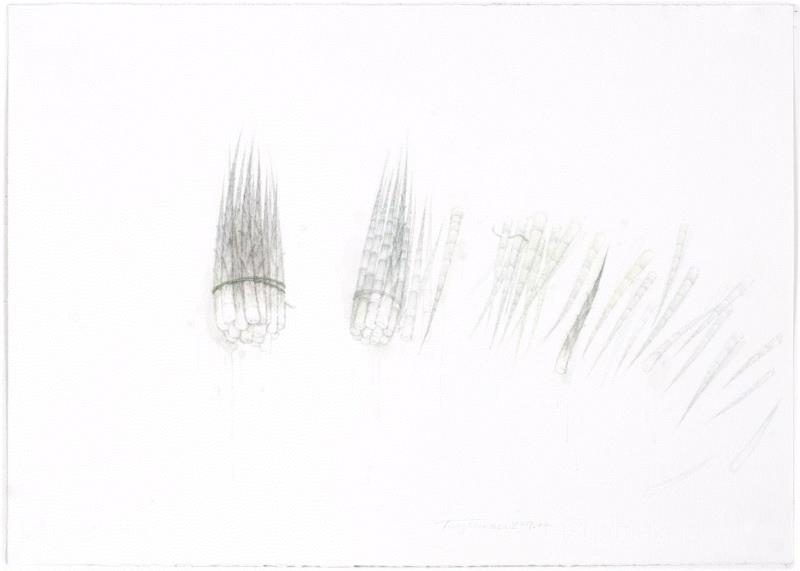 《山家清供》之二,展讯 | 伏脉千里——青年版画家创作交流展,青年,展讯,交流展,版画,湖北美术馆,纸本,木刻,绘画,铜版,蔡远河