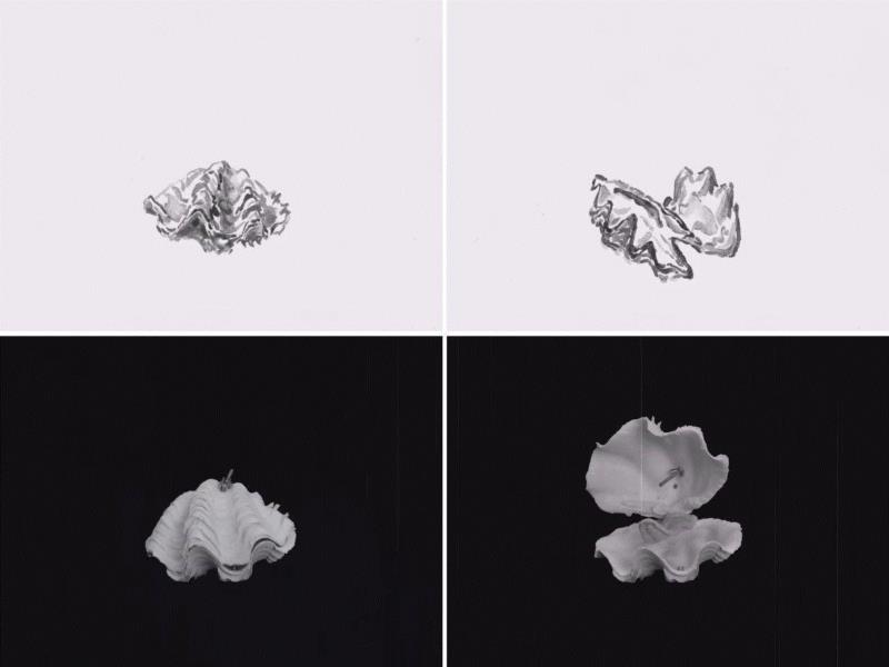 《占卜与指引》,展讯 | 伏脉千里——青年版画家创作交流展,青年,展讯,交流展,版画,湖北美术馆,纸本,木刻,绘画,铜版,蔡远河