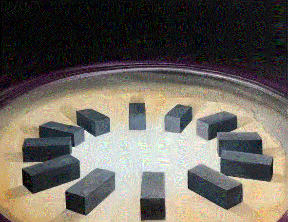 绘画丨光怪陆离的乌托邦,绘画,乌托邦,贝尼尼,丛林,罗曼,法国,具象,上方,右上,萨满