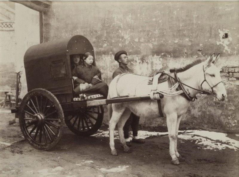 《骡车》  山本赞七郎   19世纪70年代,倒计时6天 | 探访19世纪中国千姿万