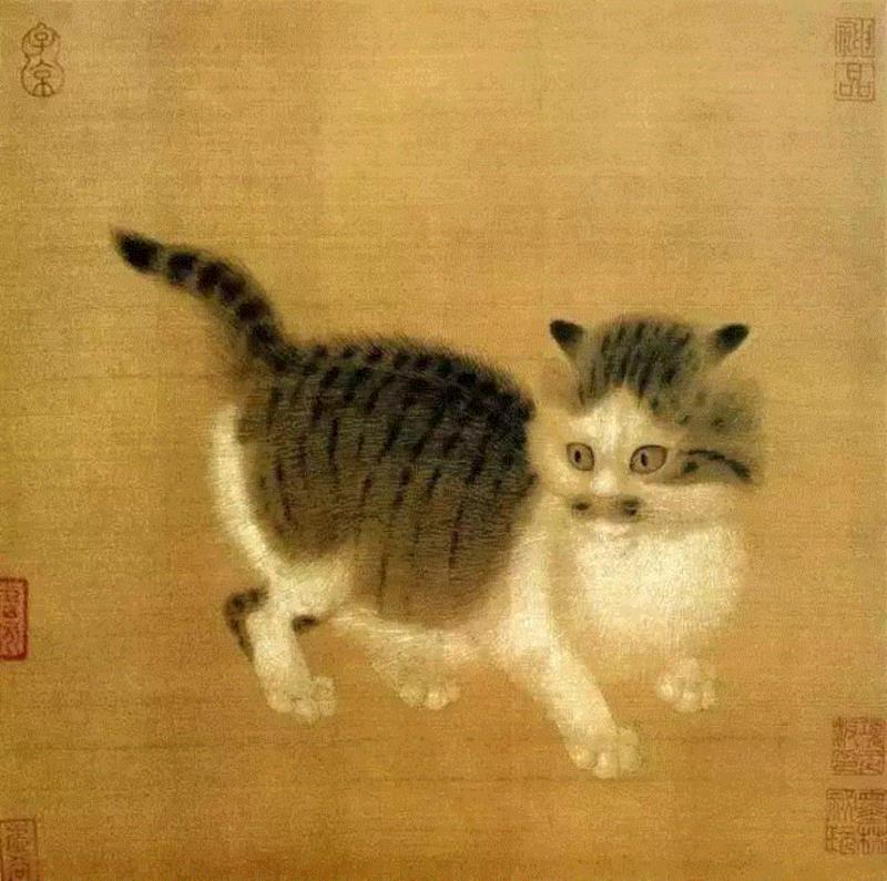 宋 佚名 貍奴,宋画中那些“无名氏”的大作鉴赏,画中,无名氏,大作,绘画,绢本,图页,叶片,马麟,两侧,枇杷果